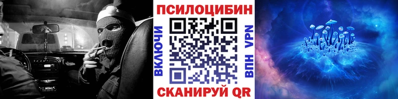 Псилоцибиновые грибы Psilocybine cubensis  Красновишерск 